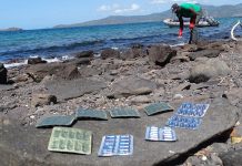 Médicaments de contrebande, attention danger ! IBUCAP