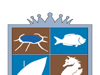 COMMUNE DE DZAOUDZI-LABATTOIR (976)