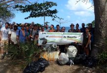 Priorisation des déchets pour le World Clean up Day cette année