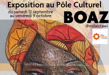 Exposition de Boaz au pôle culturel de Chirongui