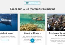 Le Parc Marin se dote d’un nouveau site rempli d’infos pratiques