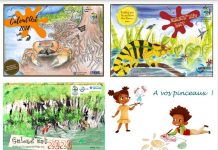 Mayotte invitée à participer à Mission Cinéma Caraïbe et à Calend’Art Calend'Art, Mayotte