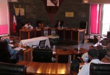 La parentalité comme enjeu pour la sécurité : le CESEM recevait Gilles Halbout CESE, Mayotte