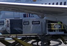 Fret aérien: Air Austral annonce 2 vols cargo supplémentaires à Mayotte en février Air Austral, Mayotte