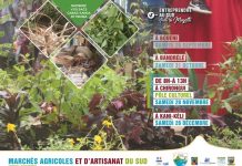 Marché agricole et d’artisanat à Chirongui ce samedi