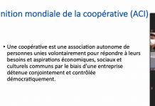 Les coopératives, « un potentiel de développement important » pour Mayotte