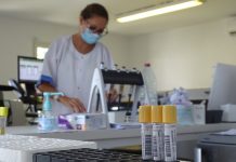 Tests PCR : ouverture en urgence d’un centre ce dimanche à l’aéroport Dominique Voynet, dépistage, ARS, Covid, Biogroup, Mayotte