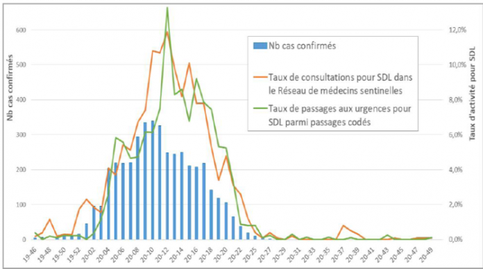 Santé publiqe France, dengue, Mayotte