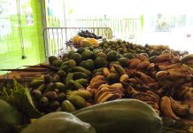 Séminaire des Jeunes agriculteurs autour des produits locaux ouvert au Grand public Jeunes agriculteurs, Mayotte