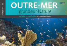 Les beautés de Mayotte exposées dans « Outre-mer grandeur nature » Outre-mer grandeur nature, Mayotte