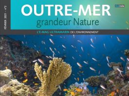 Les beautés de Mayotte exposées dans « Outre-mer grandeur nature » Outre-mer grandeur nature, Mayotte
