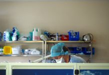 Ségur de la santé : jackpot pour le CHM Ségur de la Santé, Mayotte, CHM, ARS, Voynet