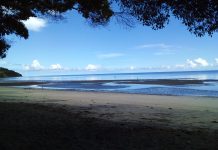 Dans la baie de Mzouazia, la préservation du poulpe passe par la fermeture de la pêche