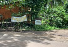 Droit de retrait au conservatoire botanique : “on veut juste travailler en sécurité”