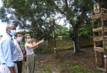 Le futur lycée du BTP de Longoni se dessine au gré d’un balisage artistique Lycée bâtiment, longoni, Mayotte