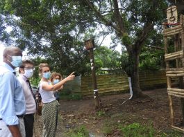 Le futur lycée du BTP de Longoni se dessine au gré d’un balisage artistique Lycée bâtiment, longoni, Mayotte