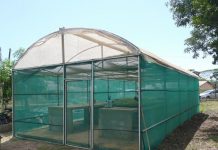 Agriculture : inscriptions ouvertes pour le webinaire sur « Le développement rural dans les territoires d’Outre-mer » Réseau rural, Mayotte