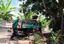 Asso-Ambassadrices du lagon, une première action « coup de poing » en guise d’échauffement