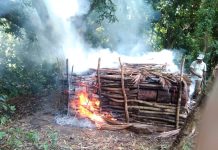 Opération de destruction de charbonnière illégale à Dzoumogné
