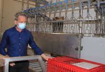 Avec son nouvel abattoir, « Mon Pouleti » se sent pousser des ailes