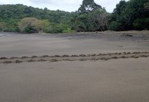 La FMAE organise un nettoyage-bivouac de sensibilisation à Saziley