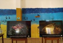 Lancement de l’exposition d’Oulanga na Nyamba à Mangajou Tortues, Mayotte