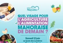 L’agriculture de demain : un séminaire croqué par les Jeunes Agriculteurs Jeunes agriculteurs, réseau rural, Mayotte