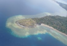 L’état de santé variable de nos coraux