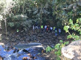 Coconi, futur « centre touristique de la biodiversité et de l’eau »