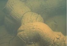 Volcan : les 1ères photos sous-marines publiées grâce à la mission Geoflamme IFREMER, Volcan, Geoflamme, Mayotte, IPGP