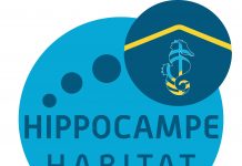 HIPPOCAMPE HABITAT RECRUTE UN.E DIRECTEUR OU DIRECTRICE GÉNÉRAL.E