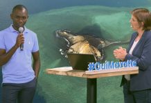 Avec le nouveau volcan, des opportunités d’emploi à ne pas négliger