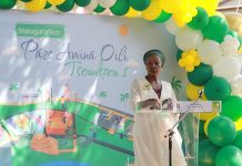 Le parc Amina Oili, un « espace de vie » sur les traces des premiers habitants de Tsoundzou