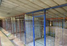 Gueules d’amour, dans la tempête et sans refuge