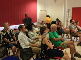 Les tortues vertes de Mayotte pourraient disparaître dans moins de 10 ans alerte un chercheur