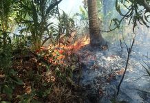 Rapport du GIEC : Mayotte en première ligne face au changement climatique