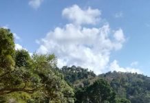 Piste illégale de Majimbini : le président du CD salue l’intervention du préfet