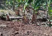 Piste sauvage en bord de rivière : le préfet dit stop
