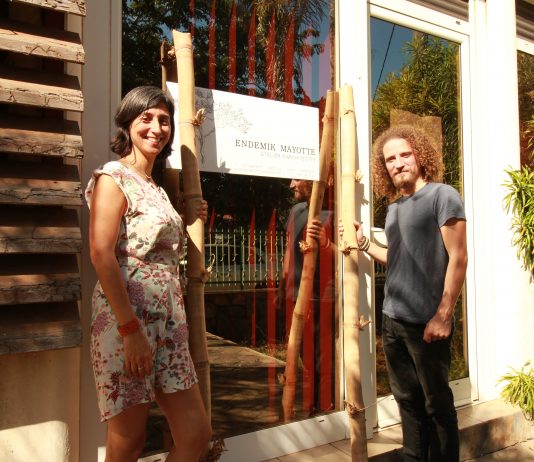 Le bambou dans tous ses états à Chirongui bambou, Mayotte