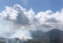 Police de l’environnement du Sud et SDIS 976, deux fronts contre les feux SDIS, pompier, Mayotte