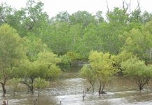 Neuf projets subventionnés par le Parc Marin pour mobiliser à la préservation du milieu marin Parc Marin, Mayotte