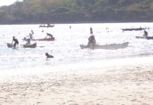 Retour en force de la course de laka à Bambo ouest le 31 octobre