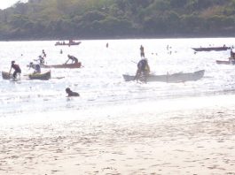 Retour en force de la course de laka à Bambo ouest le 31 octobre