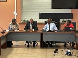 Développement de la compagnie Ewa Air et stratégies de l’aérien à Mayotte, au programme du CESEM Ewa Air, Air Austral, Mayotte, La Réunion,